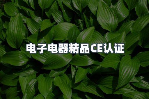 口罩防护类系列CE认证