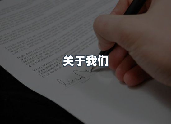 专业团队